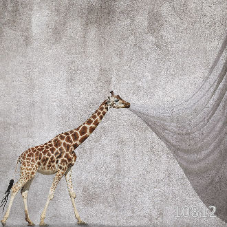 Illusion 10812