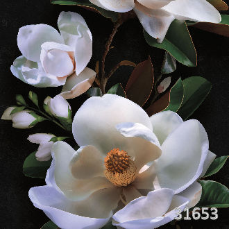 Magnolia macro