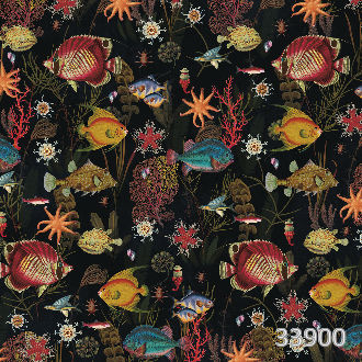 Coral reef 1