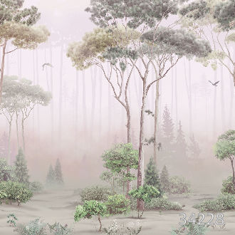 Forest silence