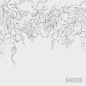 Monstera white